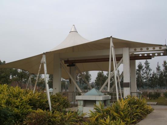 Canopy Tensile Structure Design